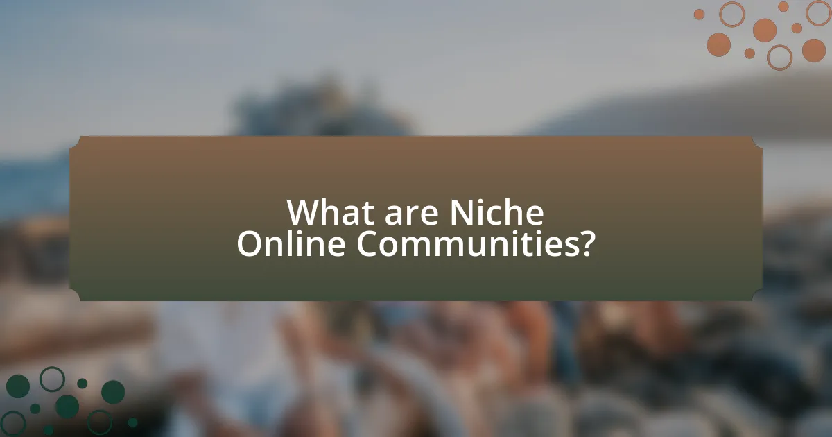 What are Niche Online Communities?