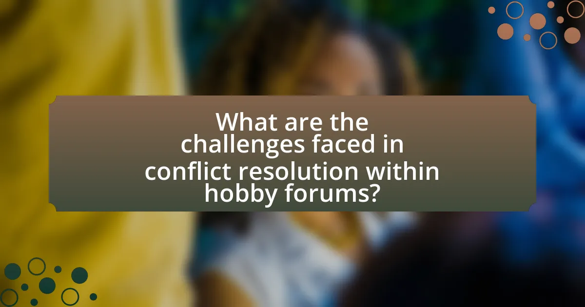 What are the challenges faced in conflict resolution within hobby forums?