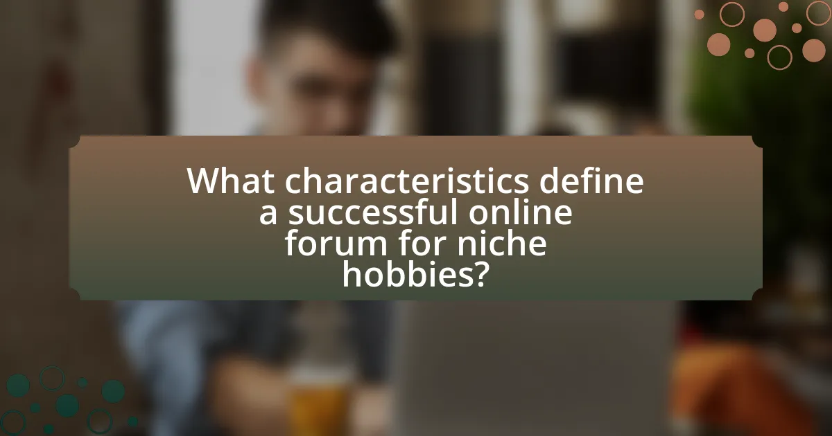 What characteristics define a successful online forum for niche hobbies?